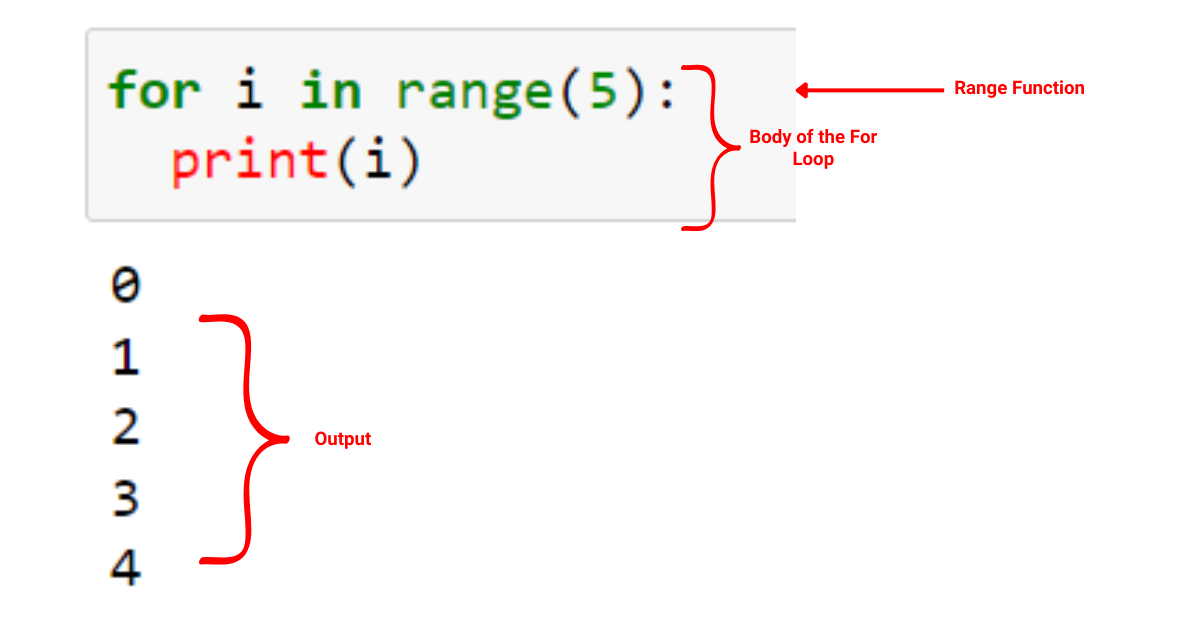 Python For Loop : un guide concis pour maîtriser l'itération